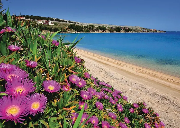 公寓 2 Bedroom Stunning In Pag *