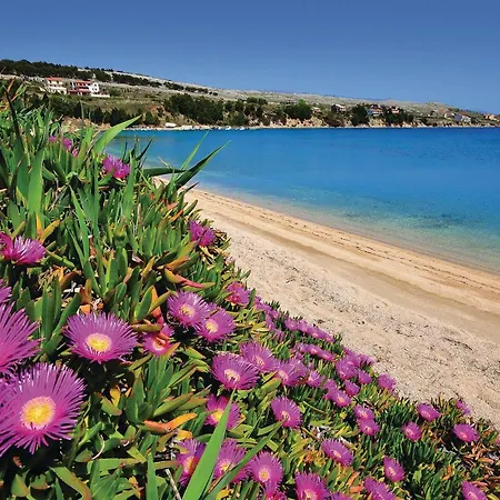 Lejlighed 2 Bedroom Lovely Apartment In Pag *